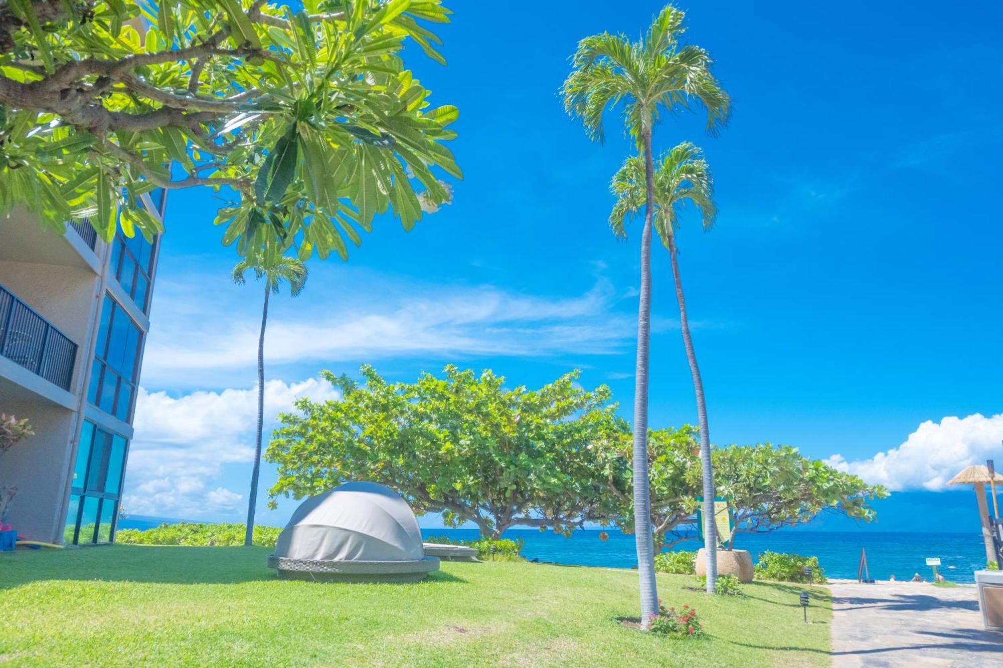 Maui Westside Presents: Kaanapali Shores 733 Stunning Ocean Views New Listing Лахайна Экстерьер фото